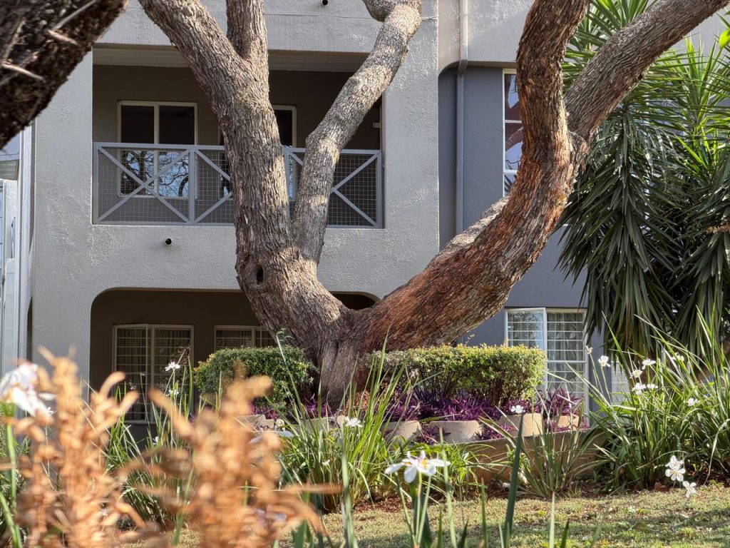 Bachelor apartment for sale in Melville, Johannesburg