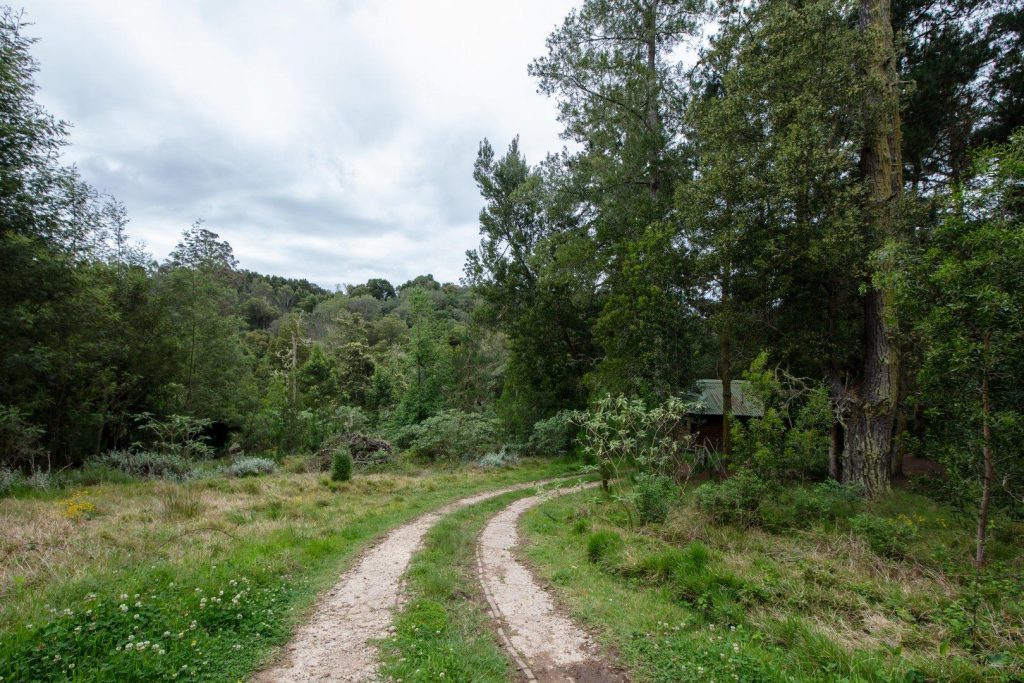 FARM FOR SALE IN HARKERVILLE AH