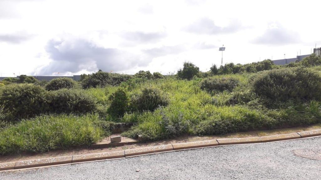 874m² Vacant Land For Sale in Hoogland